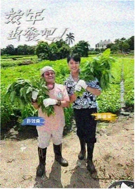 妻子的浪漫旅行